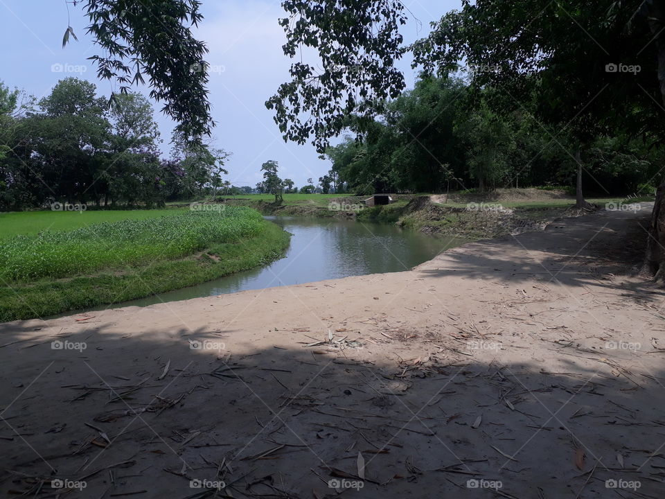 river. nature. india. assam. morigaon. north east. indian river. kopili river. tree. water. assam rever. samil river.