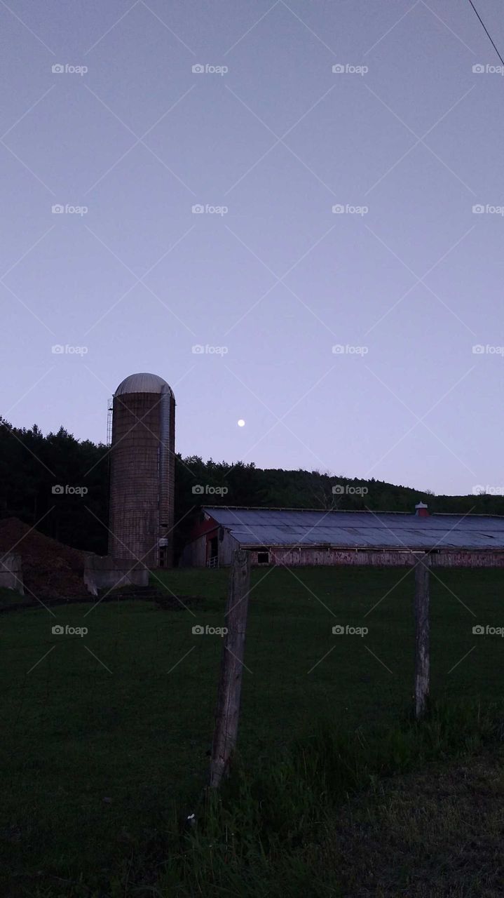 evening moon