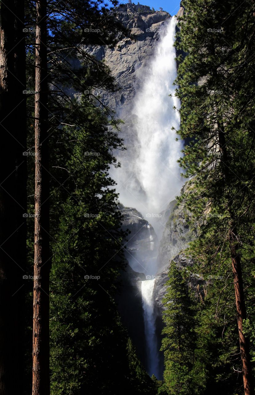 Waterfall view taken from between two trees