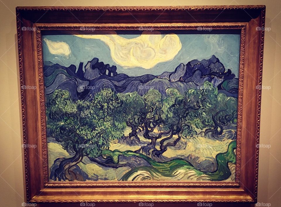 Vincent Van Gogh - MoMA - Manhattan - New York City 