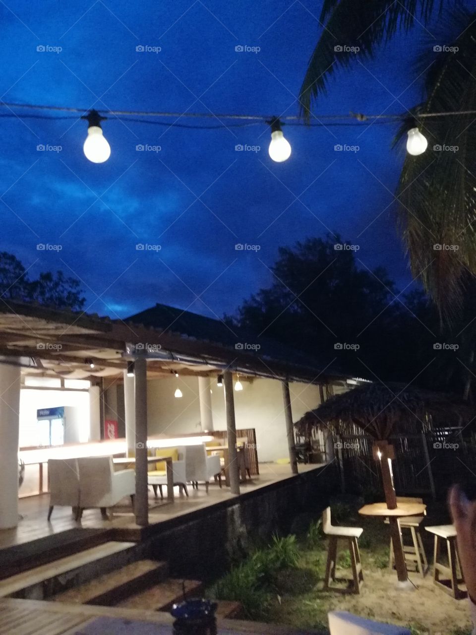 Dinner at restaurant