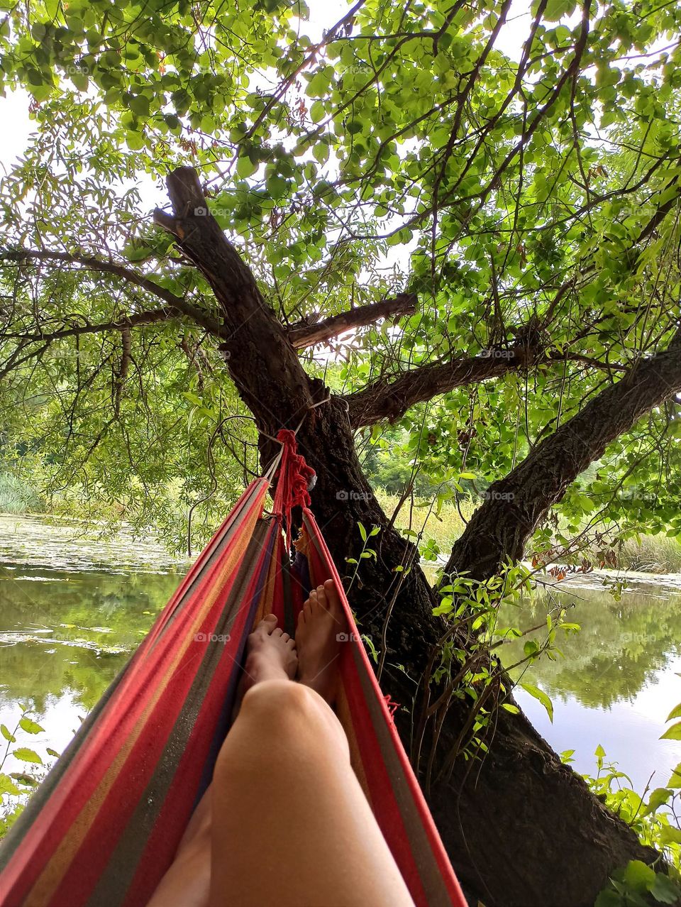 The stillness within . 
girl in meditation
