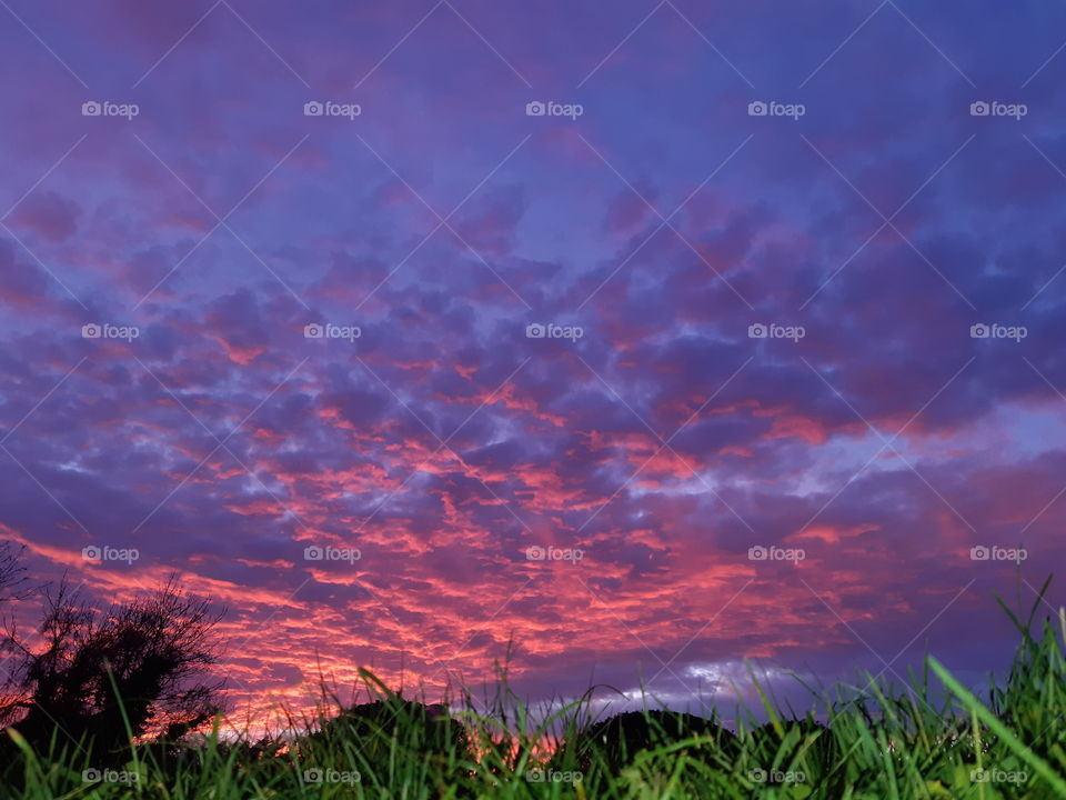 Sunset at Velva, Genoa, Italy. No editing at all, flashing on grass only.
