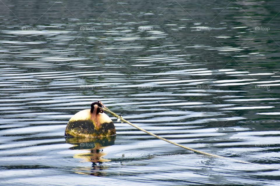 Round buoy floating in the water at Wailoa Sampan Basin Harbor in Hilo, Hawaii