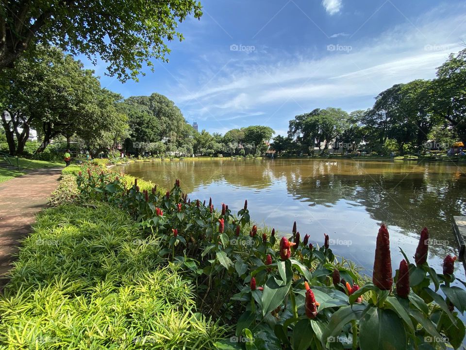 Situ Lembang Park, Central Jakarta, can be an alternative free tourist spot to visit.
Its strategic location is in the middle of Jakarta, making Situ Lembang Park quite easy to find