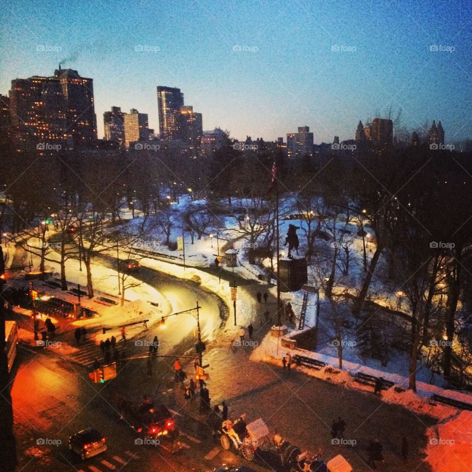 Central Park, New York. Central Park in winter