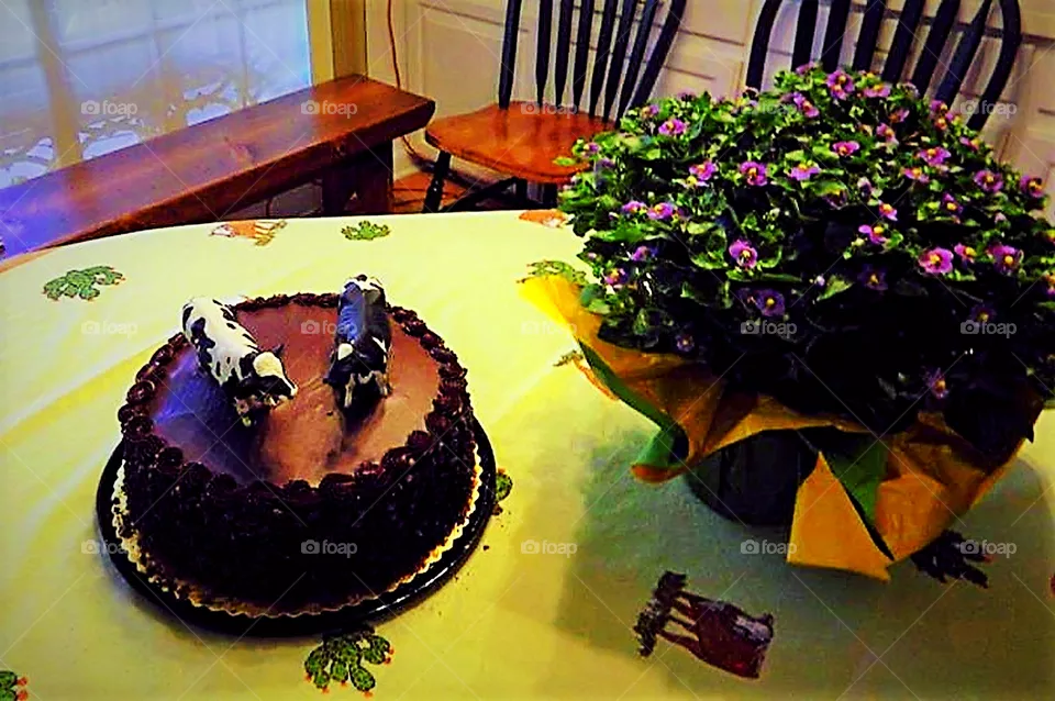 Cow Cake
