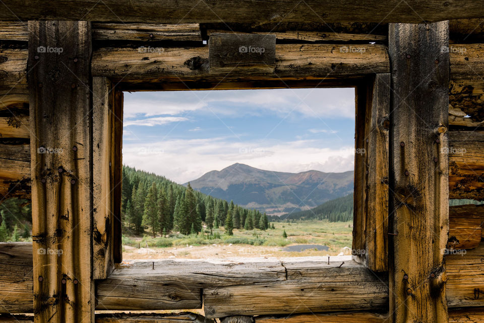 Window view 