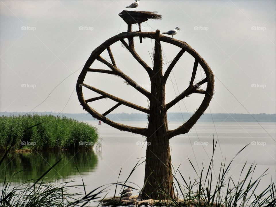 nature art in the Lithuania Neringa