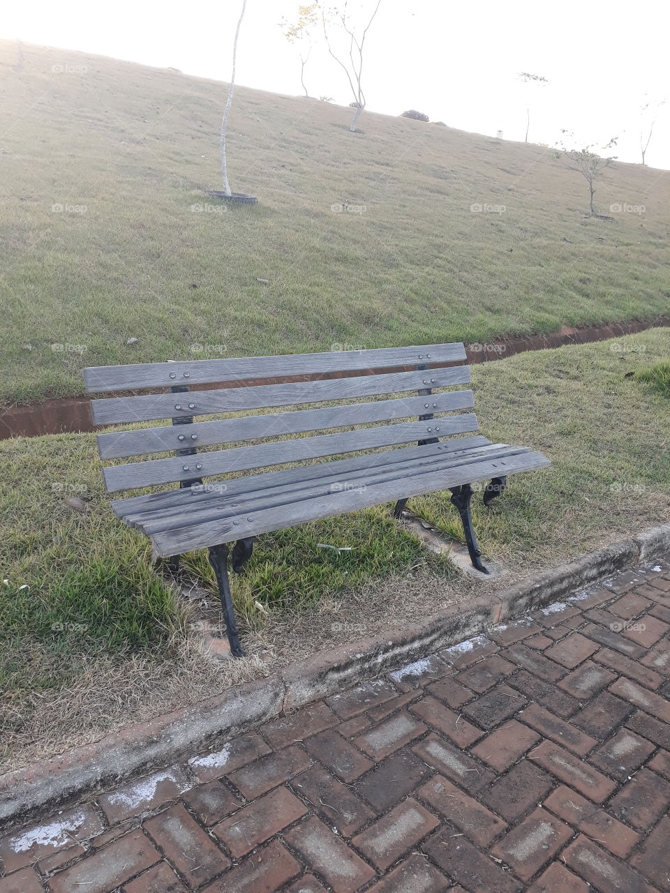 An empty bench at an empty park. Clearly peaple are discouraged because of the cold weather.