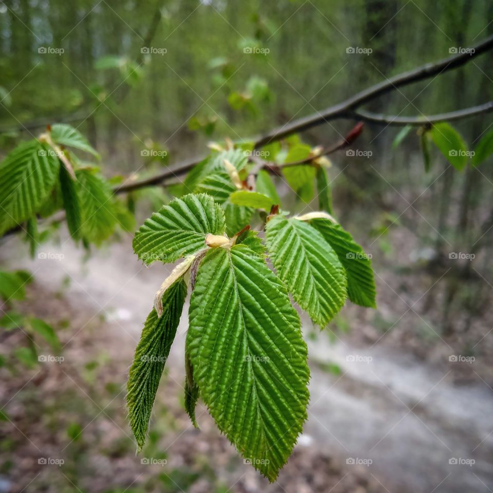 екология и природа