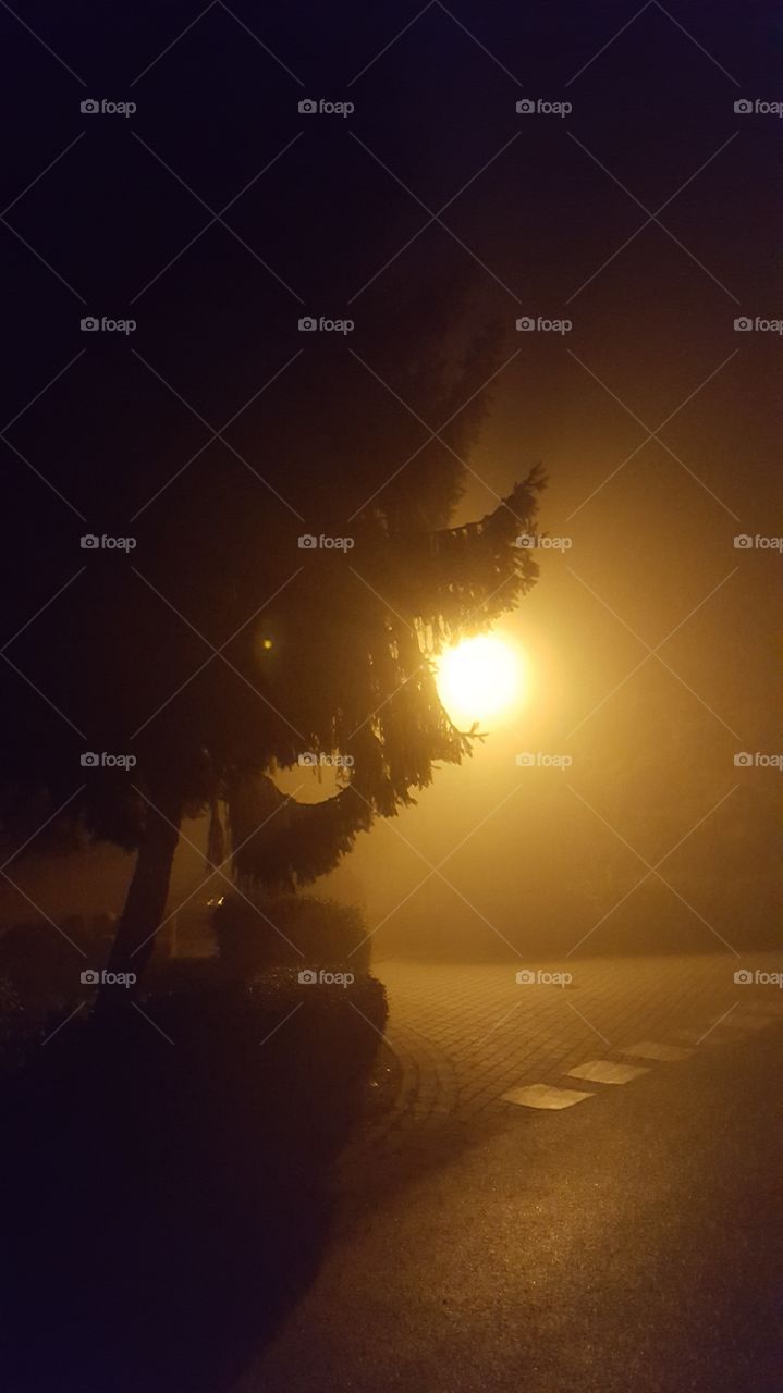 light in a foggy night