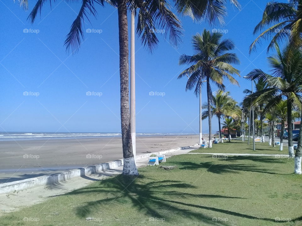 Beautiful view on the beach.  Autumn. Sunny day