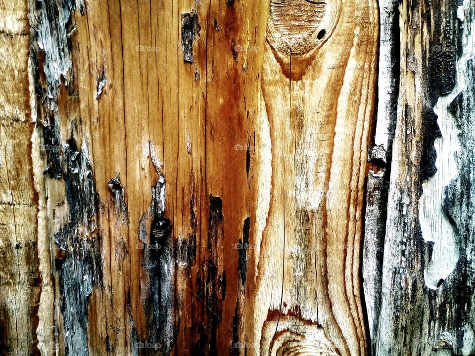 Wood, Old, Wooden, Log, Texture