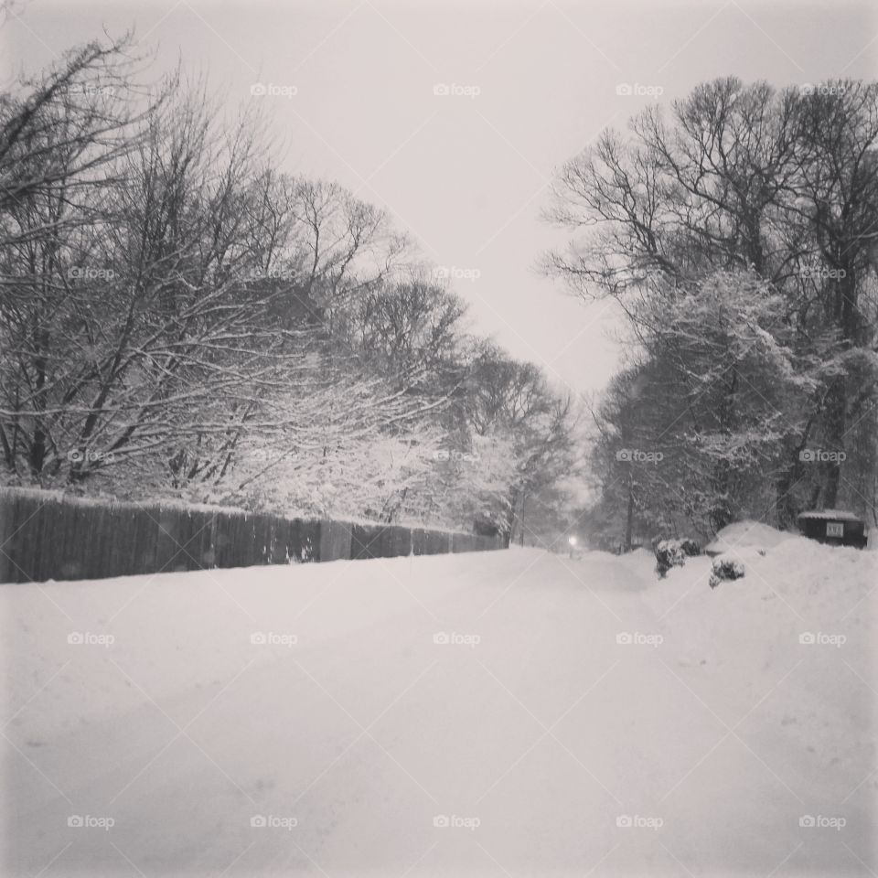 snow road, black and white