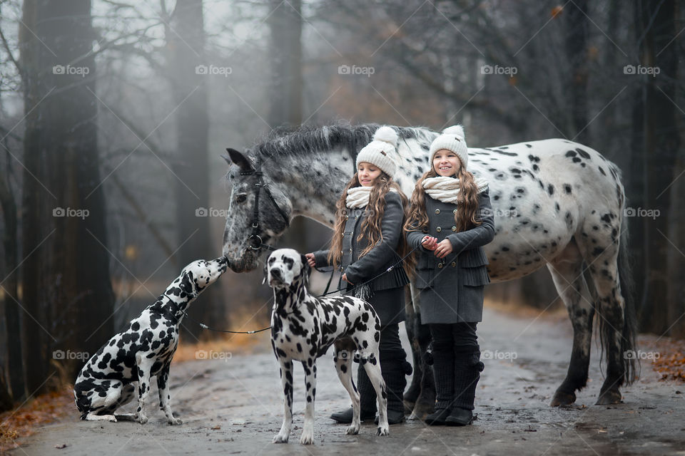 Twins girls with Dalmatian dogs and spotted Appaloosa horse in an autumn park at misty evening 