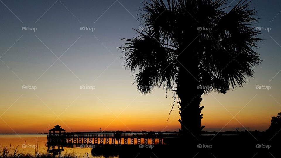 Sunset behind a gazebo and palm tree.