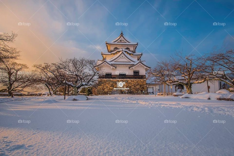 Hikone Castle Japan#winter#2019