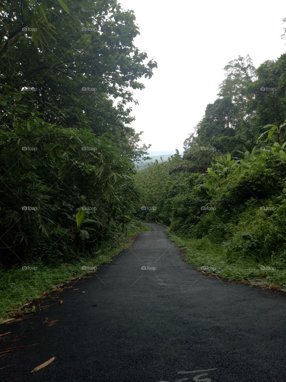 nature...street