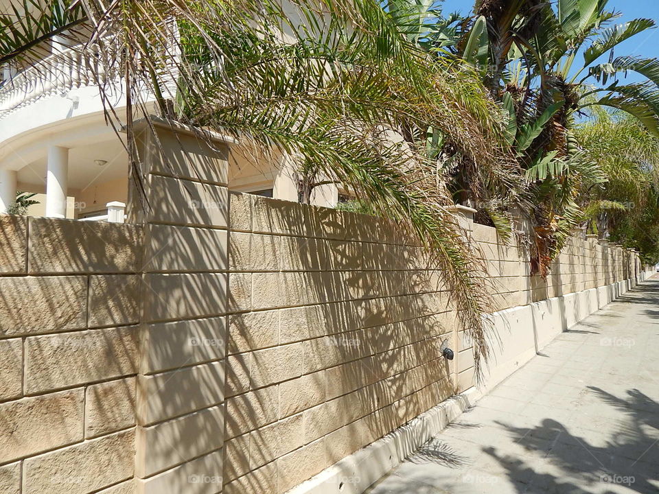 Travel in Larnaca Cyprus