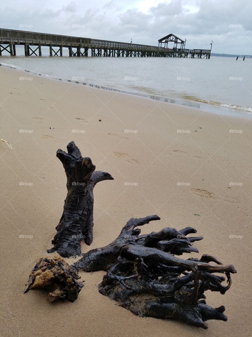 Natural Wood sculpture on beach