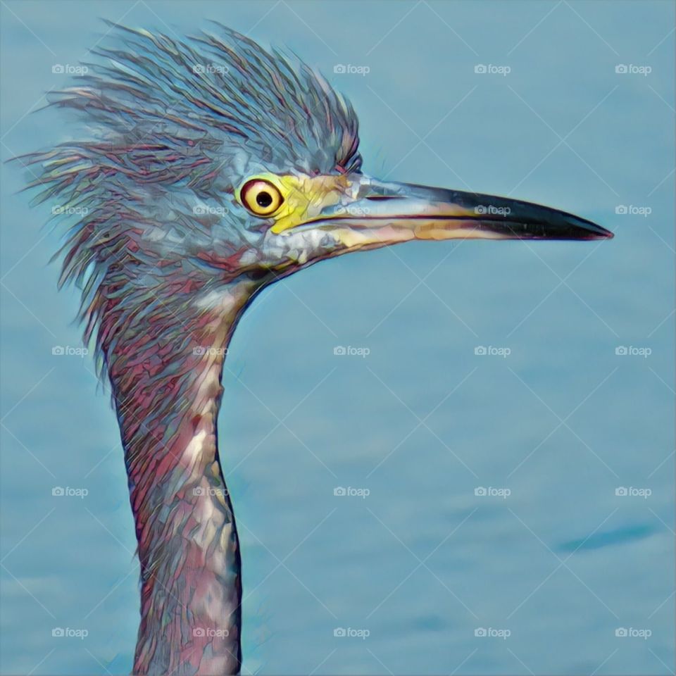 Abstract Heron