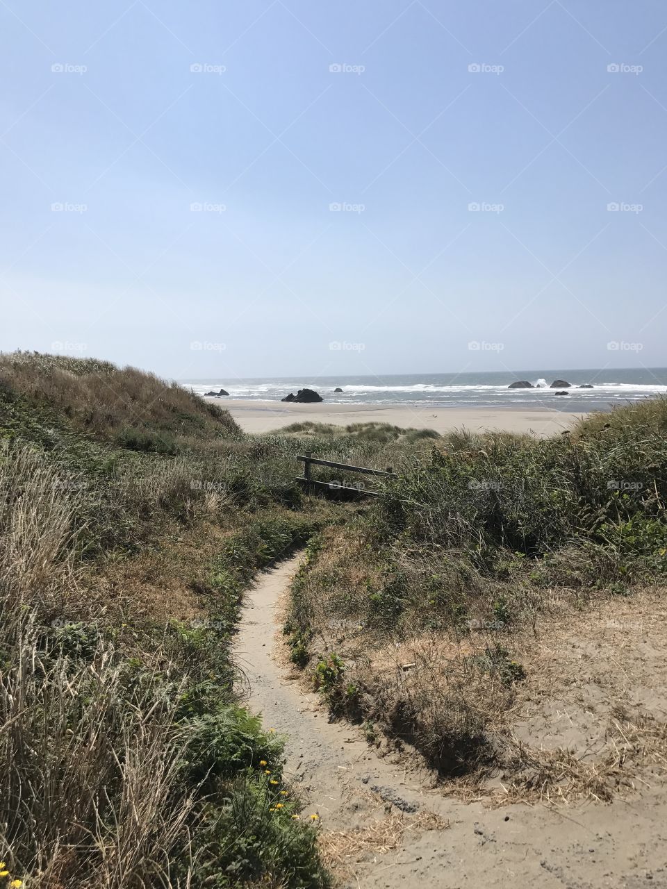 Pathway through dunes to beach