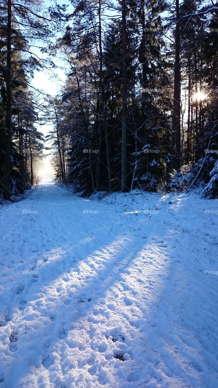 Winter road