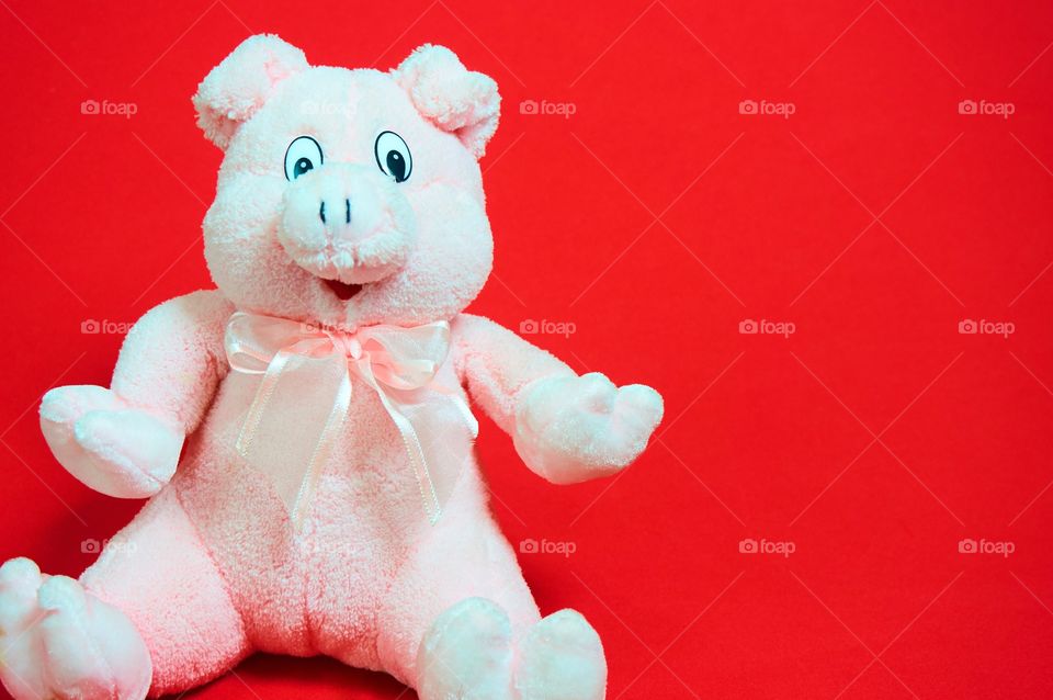 Pink pig on red background 