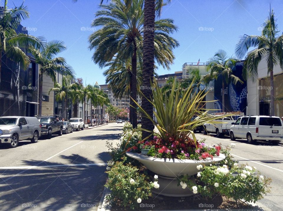 Rodeo Drive, Los Angeles - California