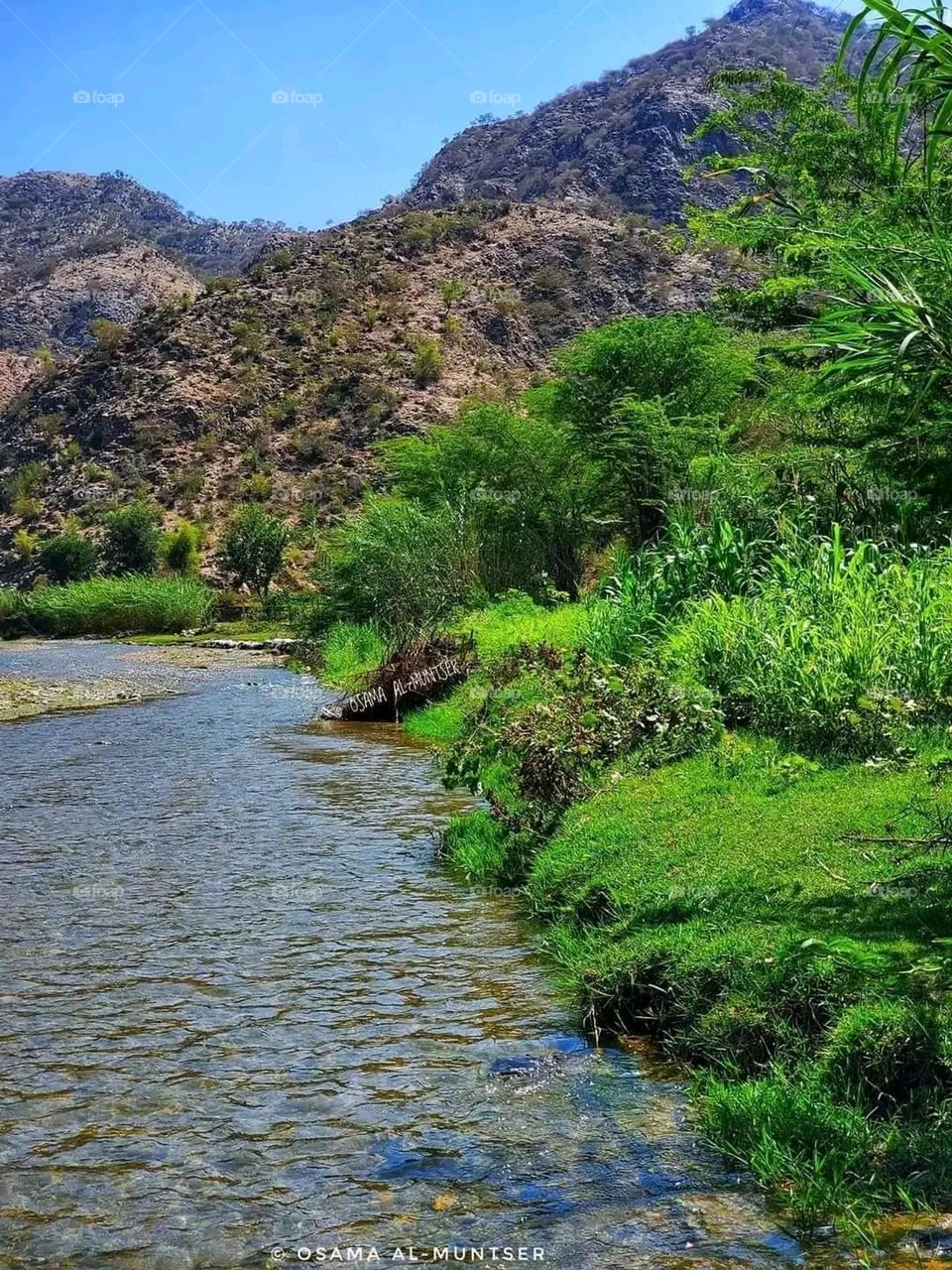 Glory be to God, the magnificent and picturesque view and the natural green trees are a view that is nothing more wonderful than it