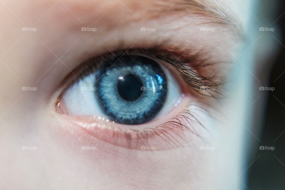 Your eyes are blue, just like ocean 