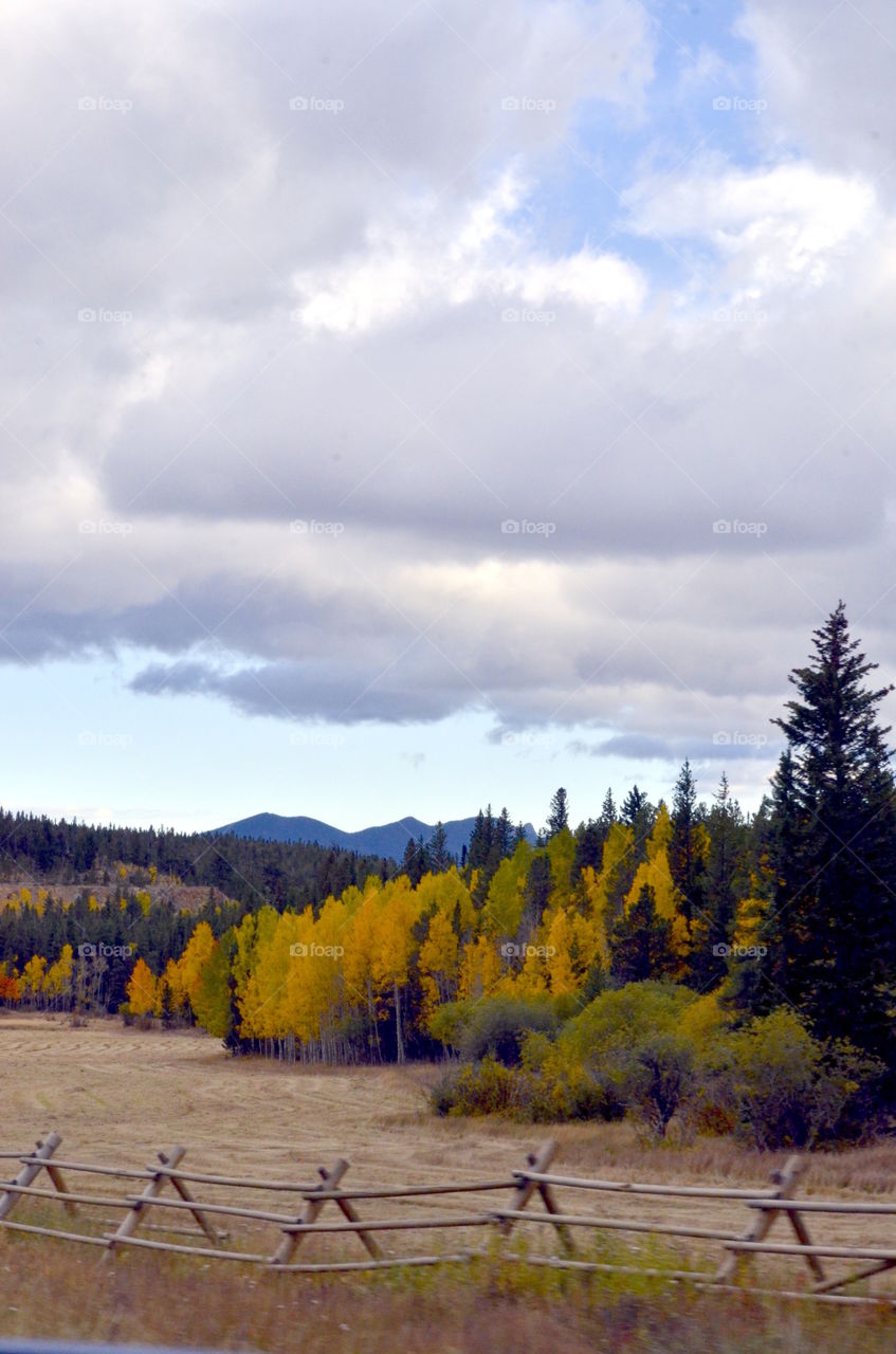 Colorado Fall