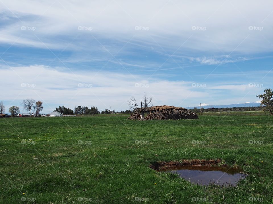 An incredible pioneering cold storage area built from rock in a farm pasture with green grasses on a sunny spring morning. 