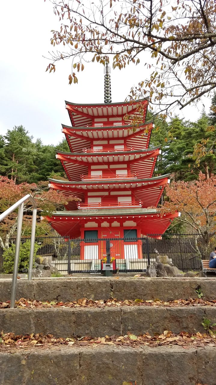 Japanese pagoda