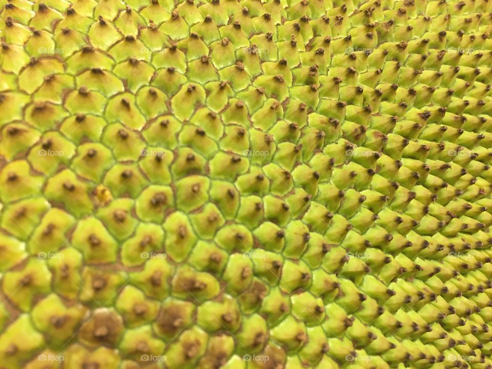 Closeup of jackfruit