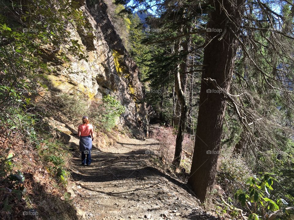 Tennessee Hiking Love
