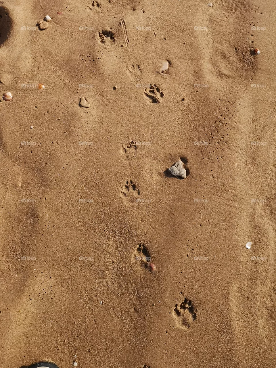 Steps