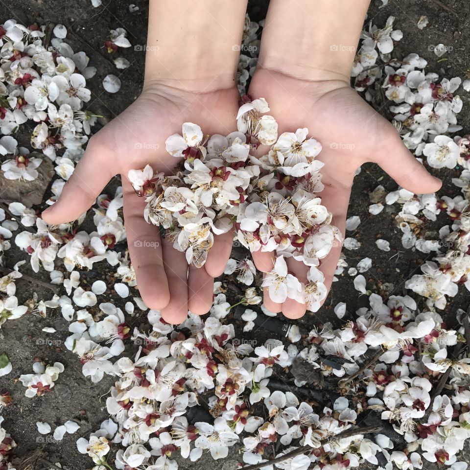 Woman, Nature, People, Flower, Beach