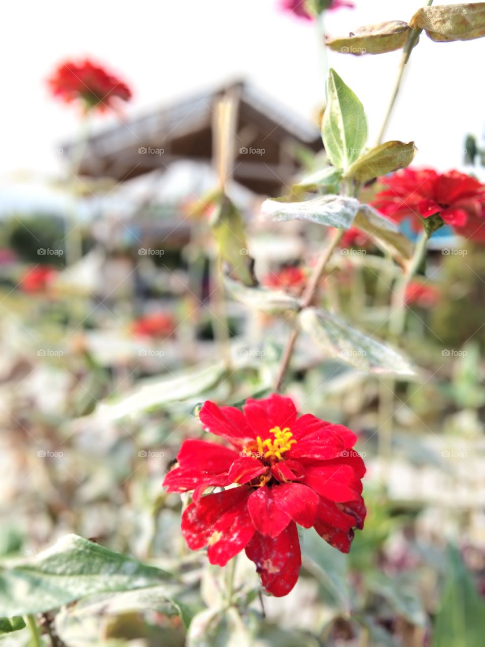 warna warni yang sangan indah