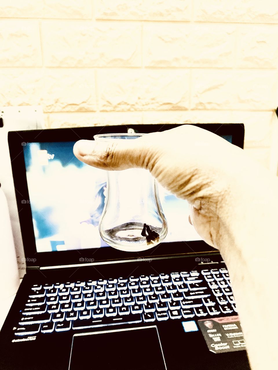 Computer shows and tea 