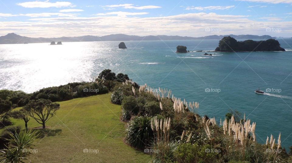 New Zeland landscape - 2018