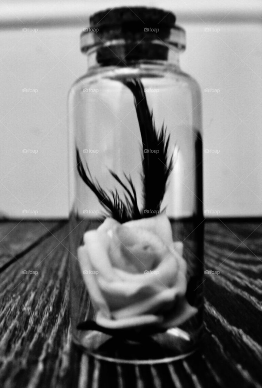 Feather & rose in a glass bottle 