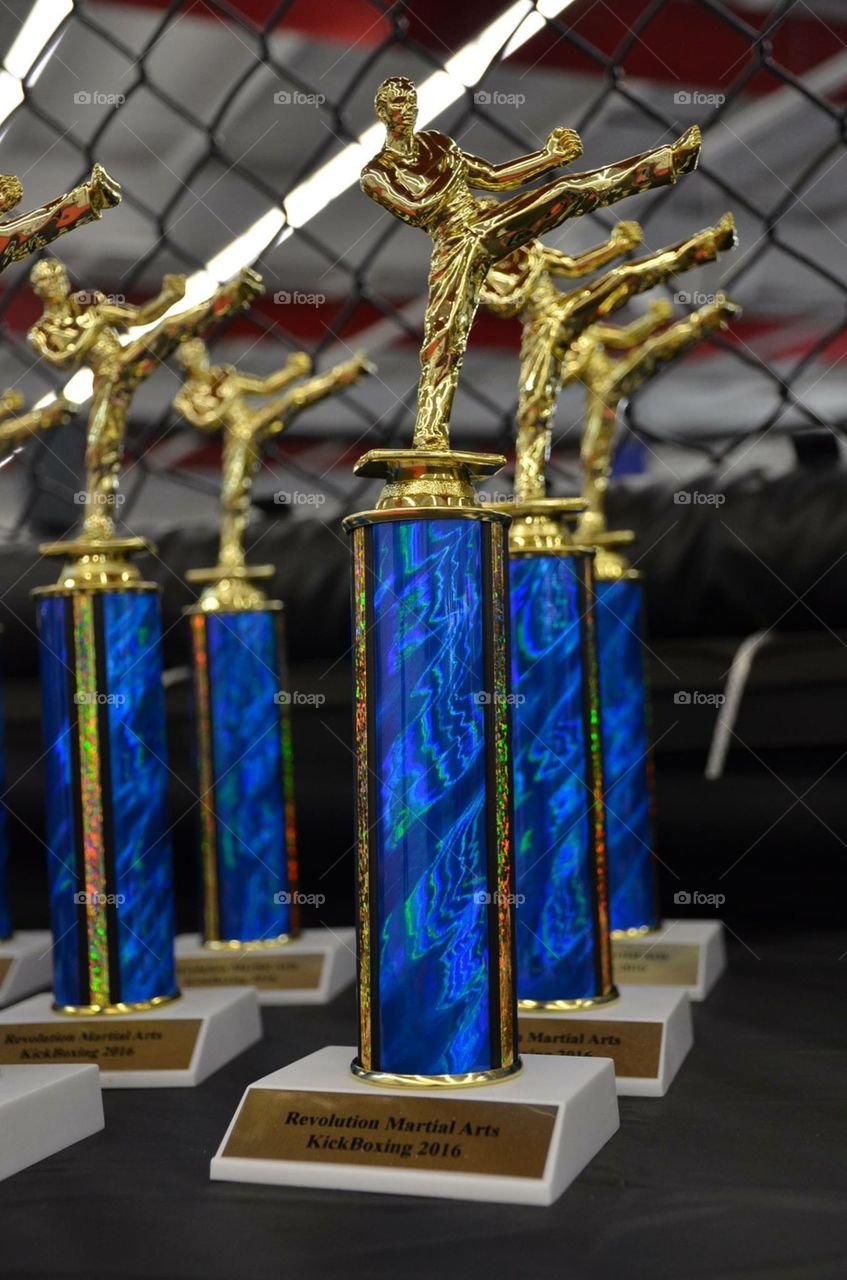 Kickboxing trophies 