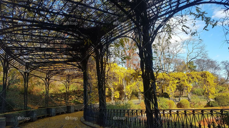 adjoining arbors in central park