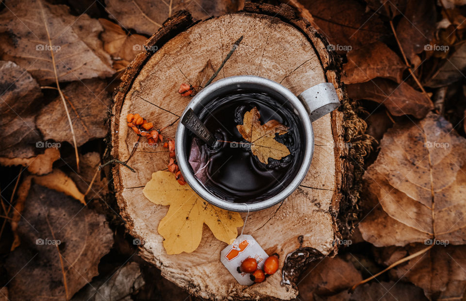 Cup of tea during autumn days
