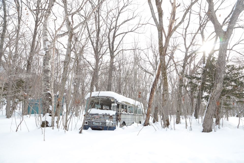 bus into snow 