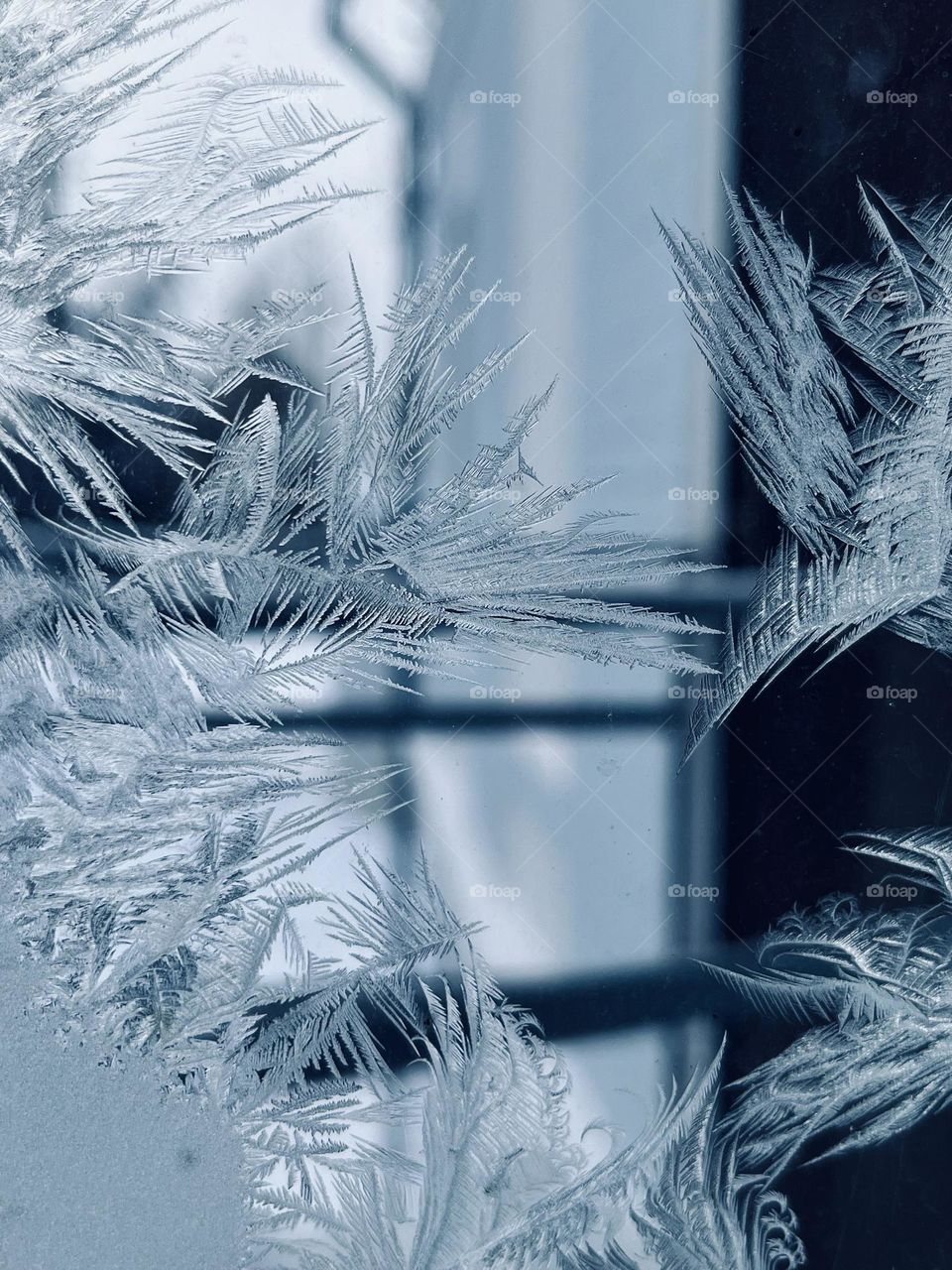 Frosty patterns on the window