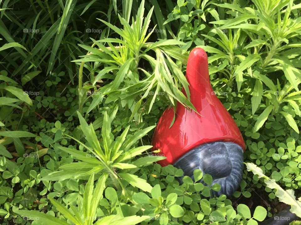Gnome in the weeds