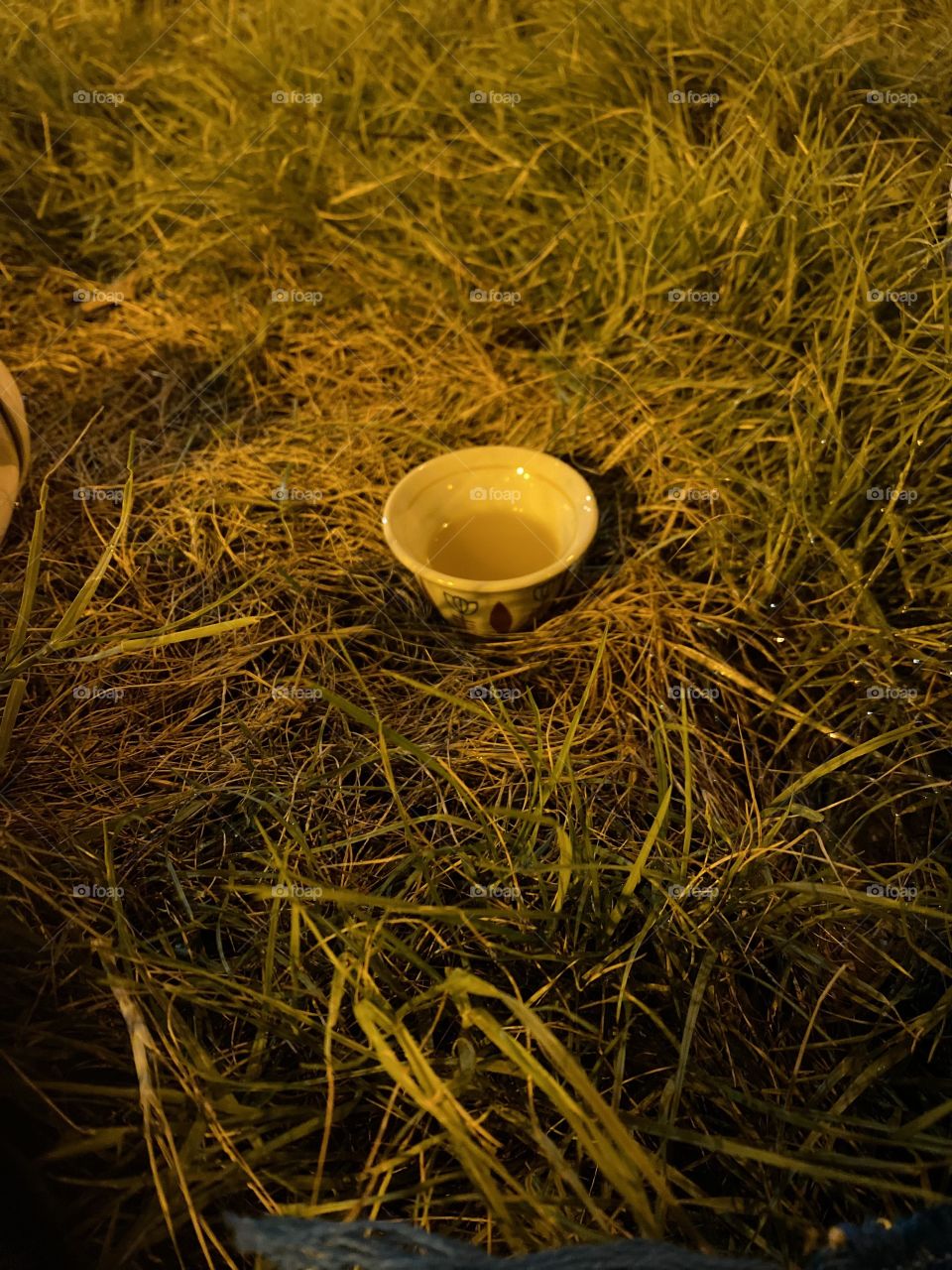 Drink coffee in the park with my family 